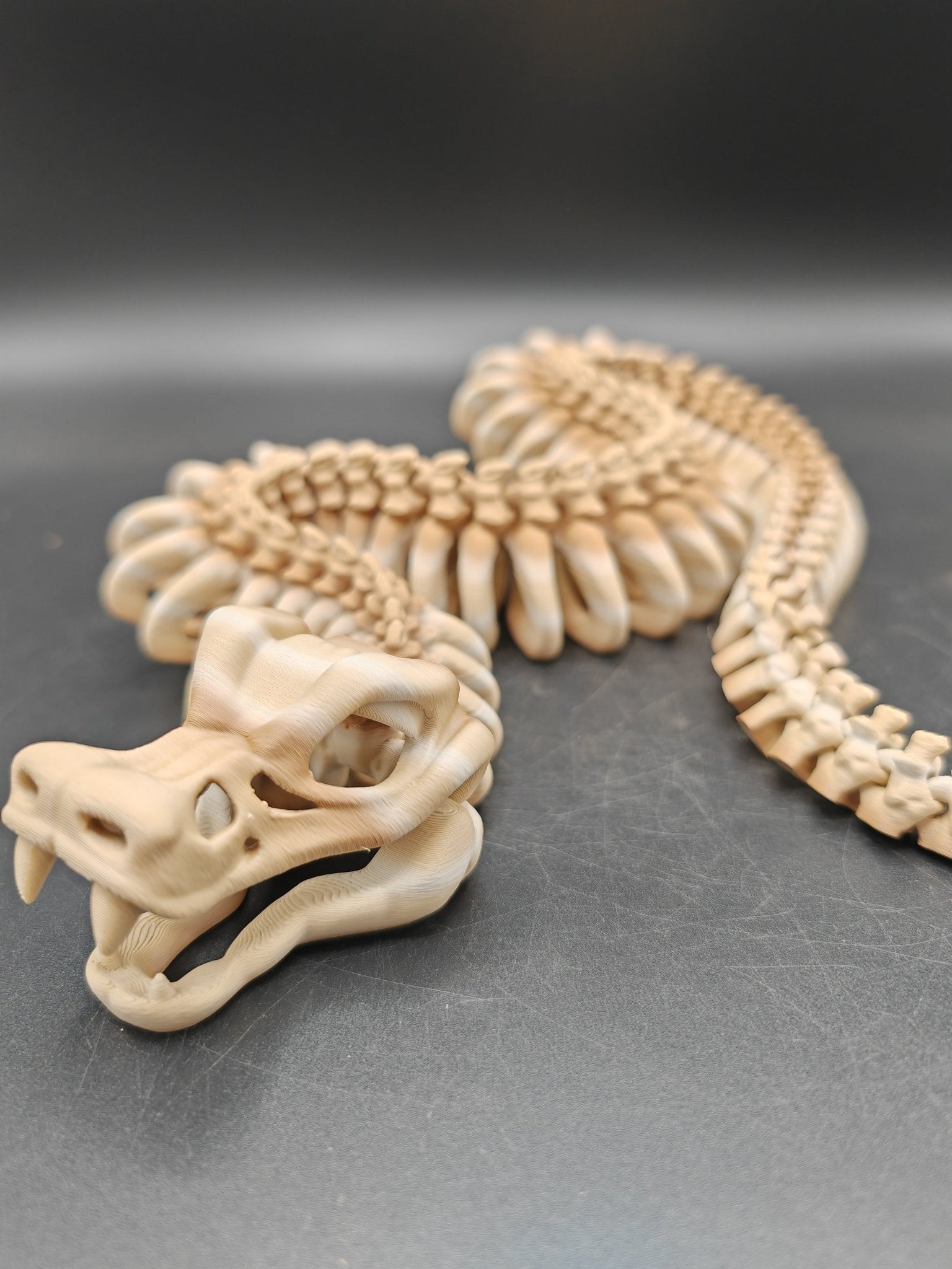 Articulated Skeleton Snake – Flexible UKCA Certified Fidget Toy - FAN3DP