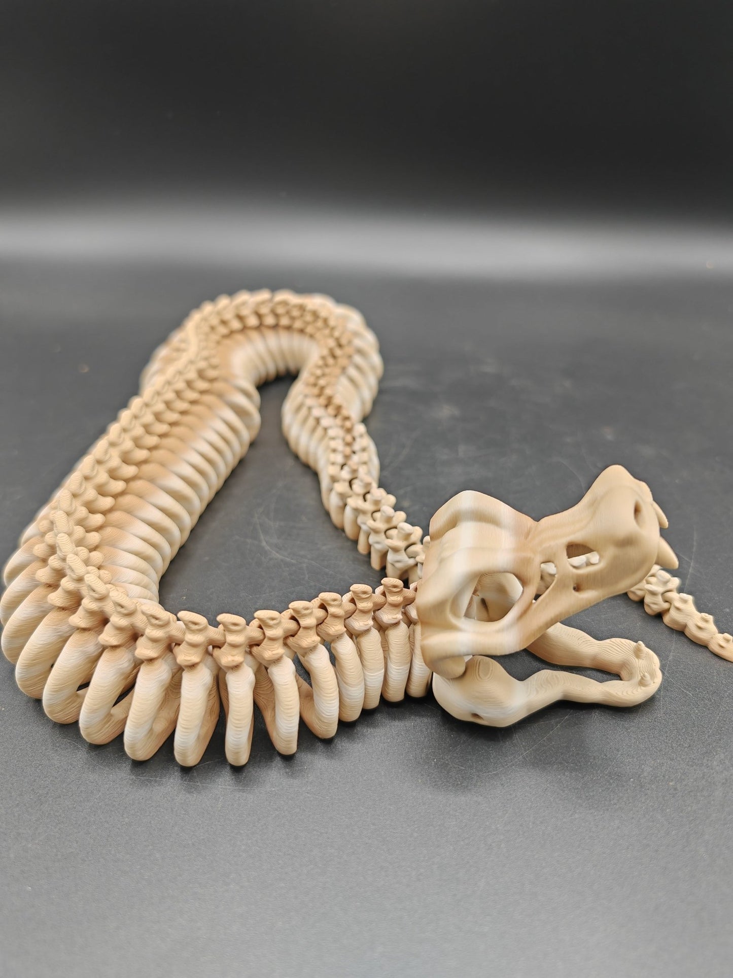 Articulated Skeleton Snake – Flexible UKCA Certified Fidget Toy - FAN3DP