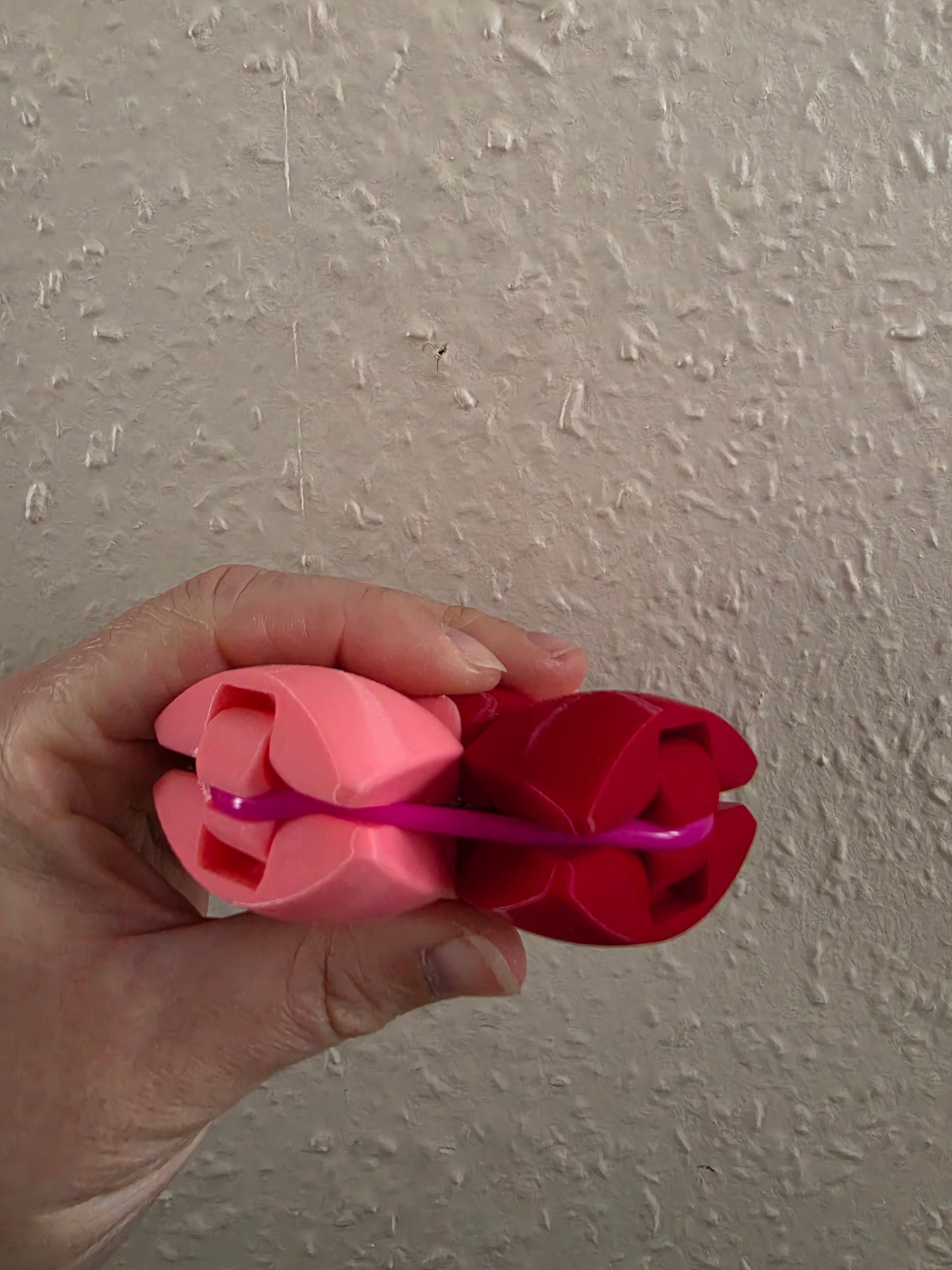 XL Zorbles - The Ultimate Fidget Toy