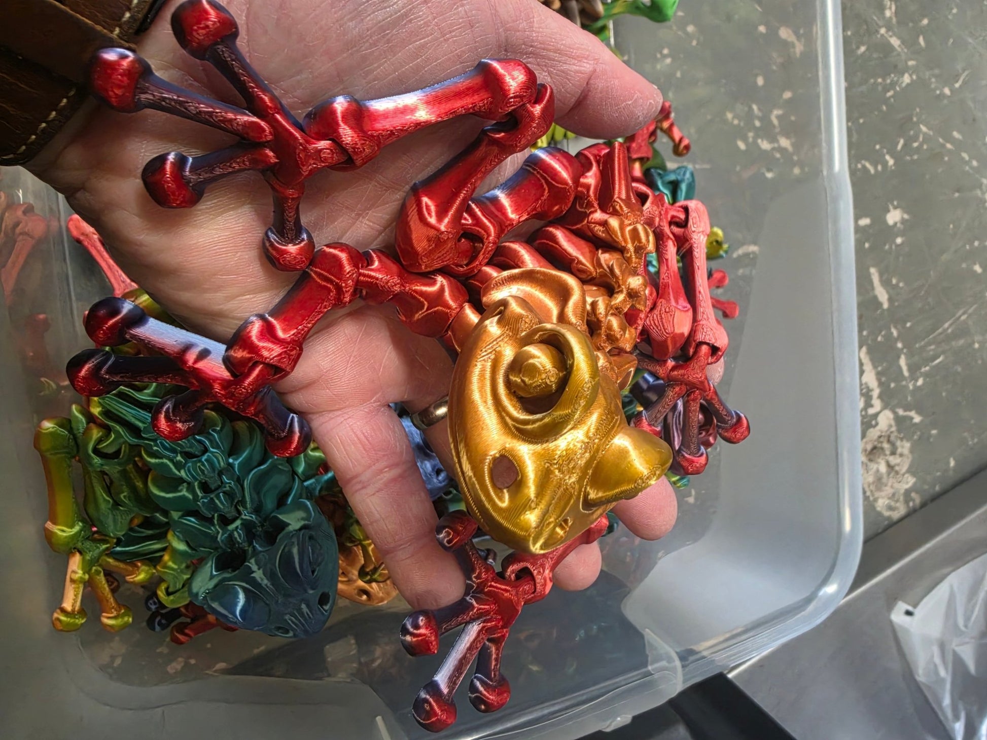 Skeleton Frog – Articulated Frog Toy – Flexible UKCA Certified Fidget Toy - FAN3DP